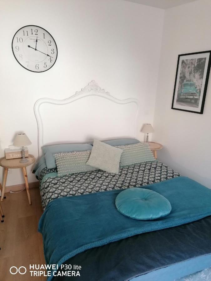 Charmant Logement En Plein Centre De Macon Apartment ภายนอก รูปภาพ