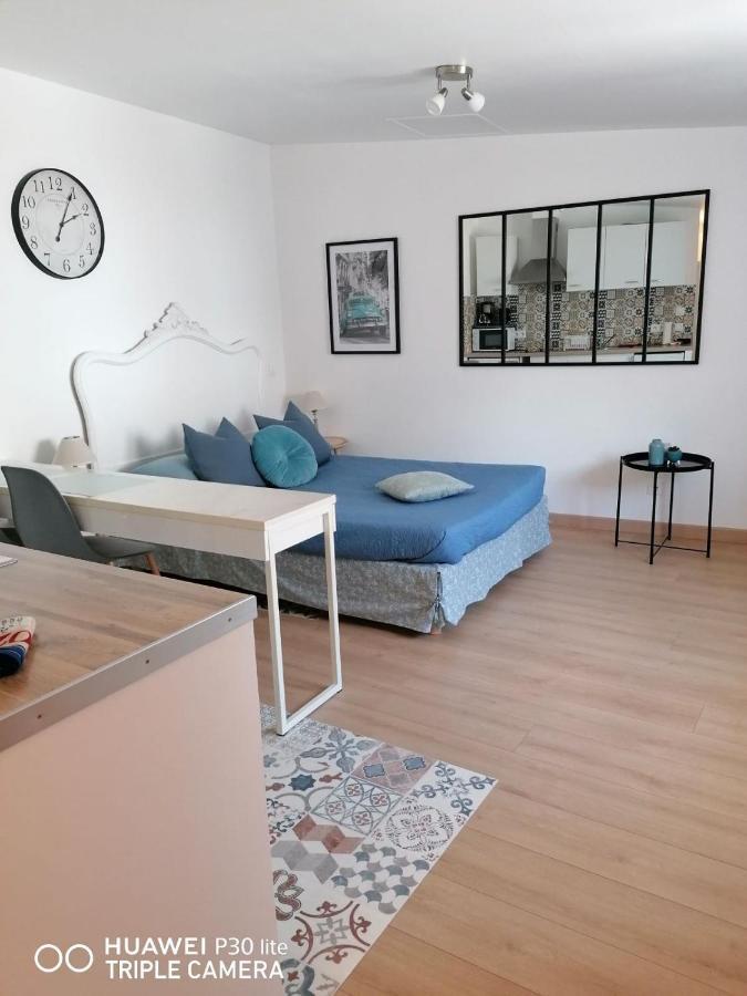 Charmant Logement En Plein Centre De Macon Apartment ภายนอก รูปภาพ
